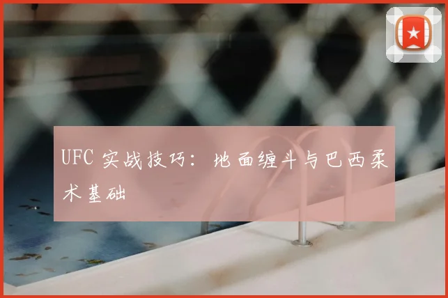 UFC 实战技巧：地面缠斗与巴西柔术基础