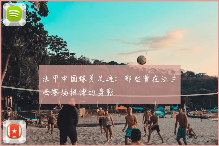 法甲中国球员足迹:那些曾在法兰西赛场拼搏的身影